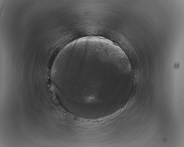 X0000097630029200803281111