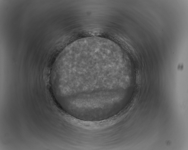X0000097630030200803281111
