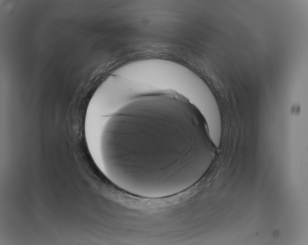 X0000097630031200803281111