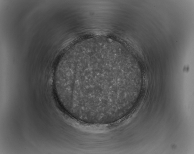 X0000097630032200803281111