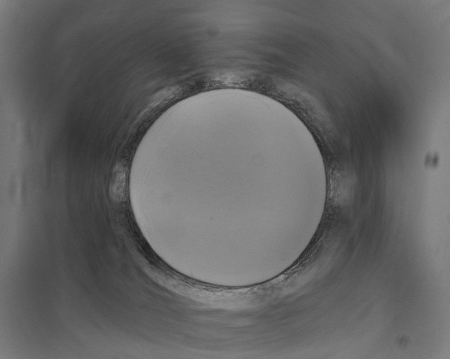 X0000097630036200803281111