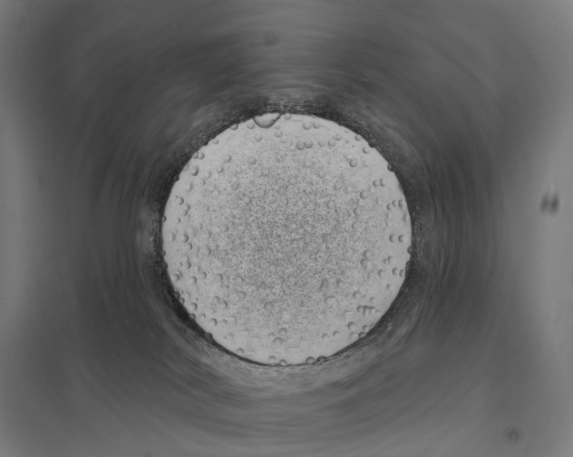 X0000097630038200803281111