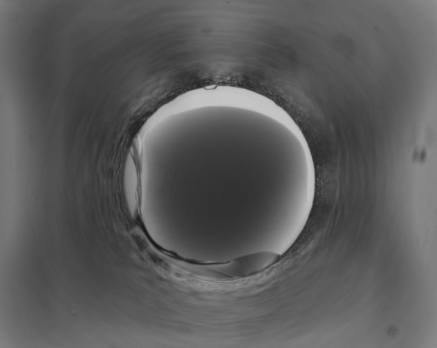 X0000097630039200803281110