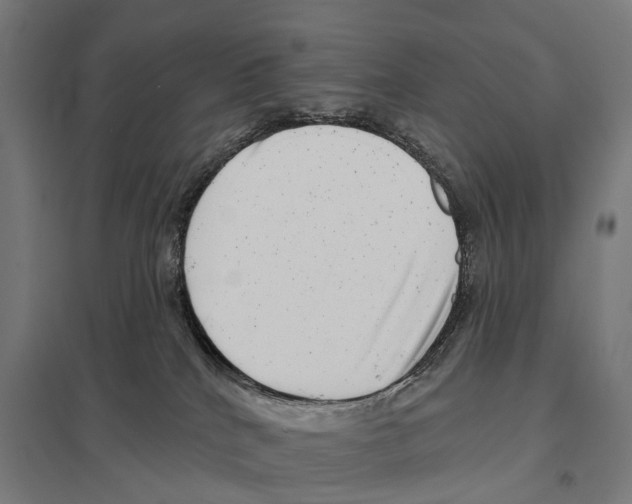 X0000097630040200803281110
