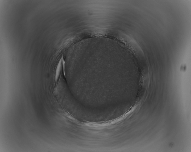 X0000097630041200803281110