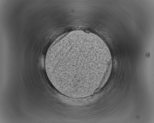 X0000097630042200803281110