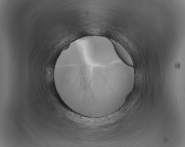 X0000097630043200803281110