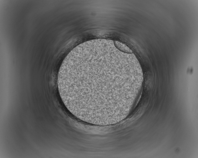 X0000097630044200803281110