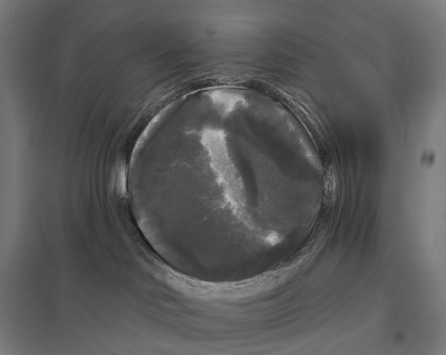 X0000097630046200803281110