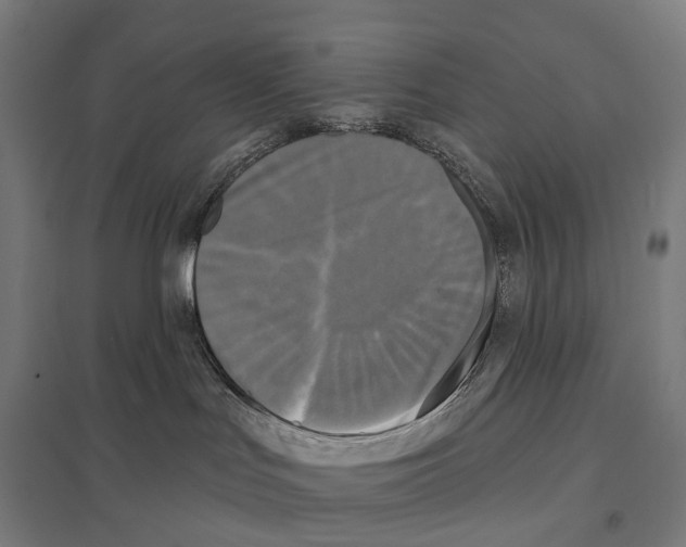 X0000097630047200803281110