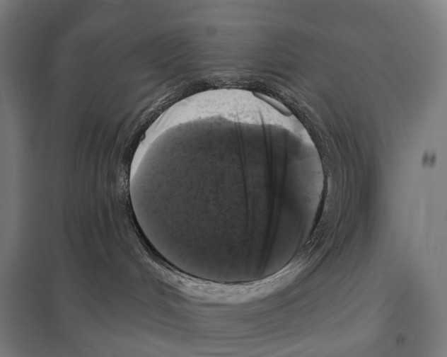 X0000097630048200803281110