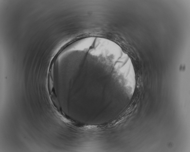 X0000097630052200803281110