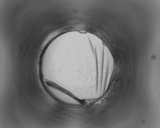 X0000097630054200803281110