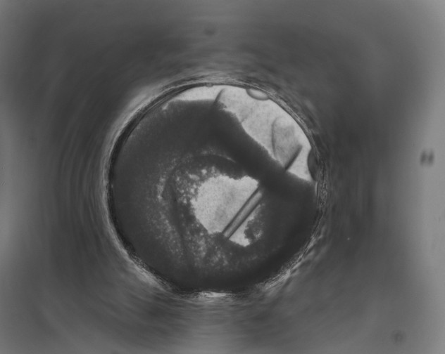 X0000097630055200803281110