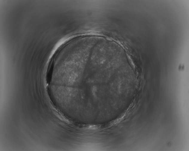 X0000097630056200803281110