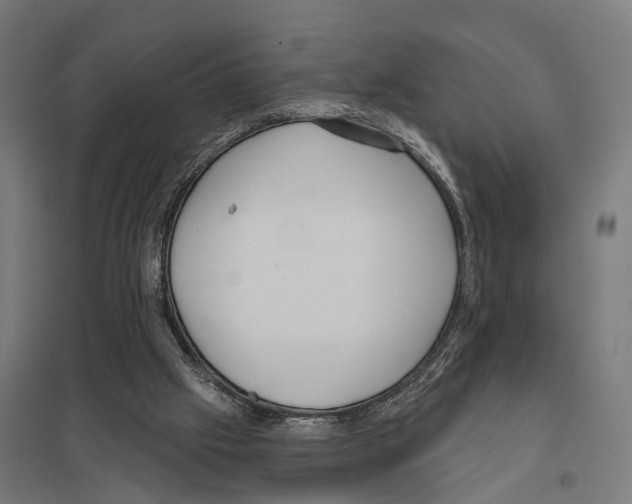 X0000097630057200803281110
