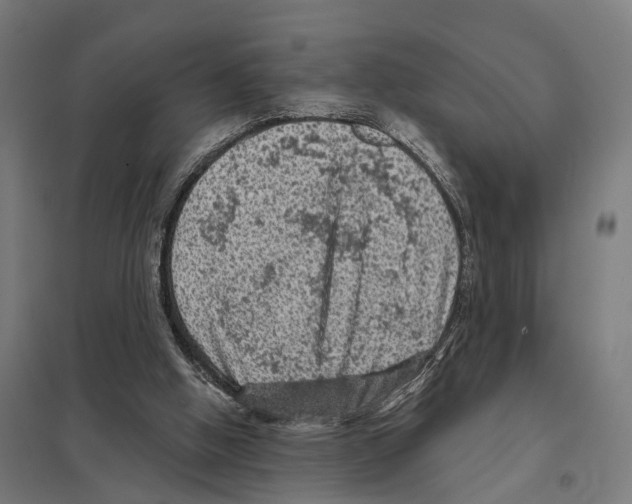 X0000097630058200803281110