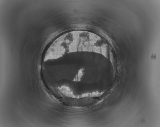 X0000097630059200803281110