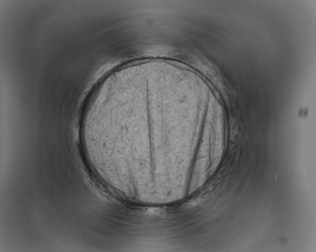 X0000097630060200803281110