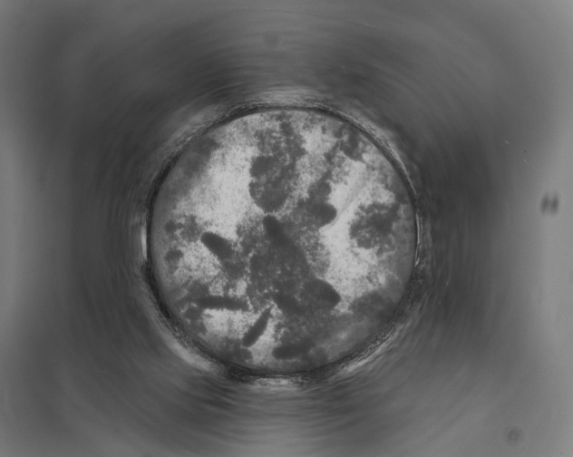 X0000097630061200803281110