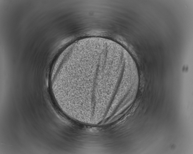 X0000097630062200803281110