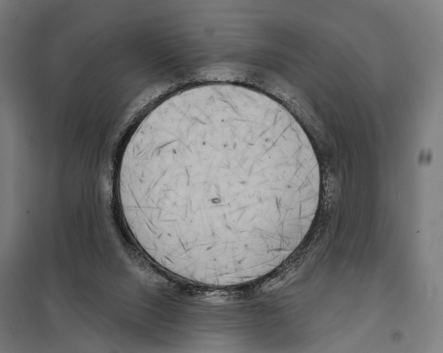 X0000097630064200803281110