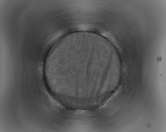 X0000097630066200803281110