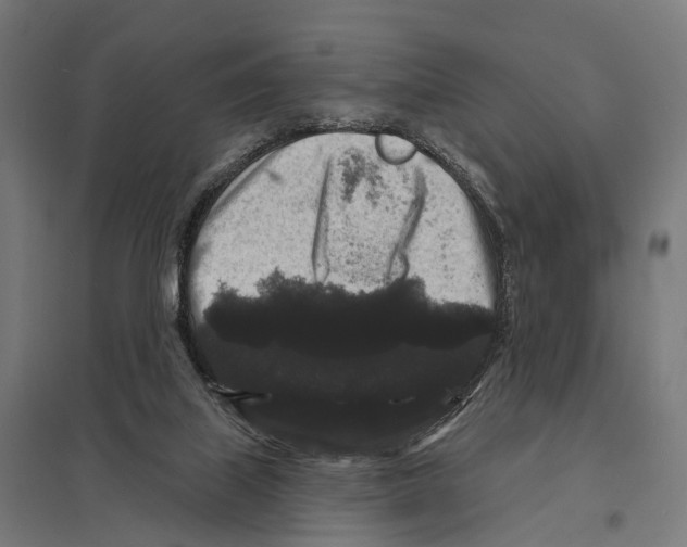 X0000097630067200803281110