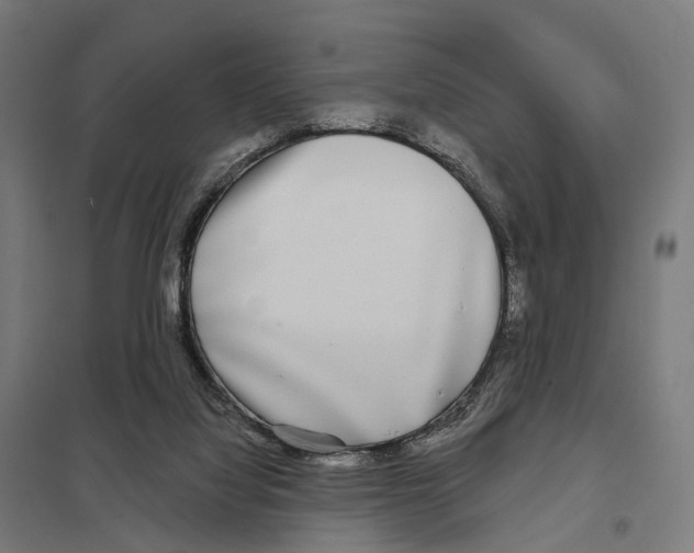 X0000097630068200803281110
