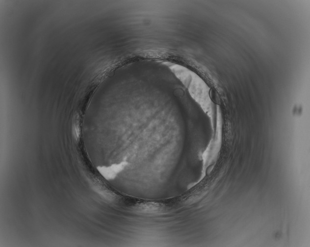 X0000097630069200803281110