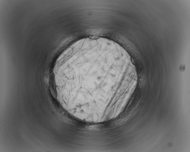X0000097630072200803281110
