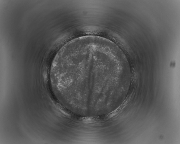 X0000097630074200803281110