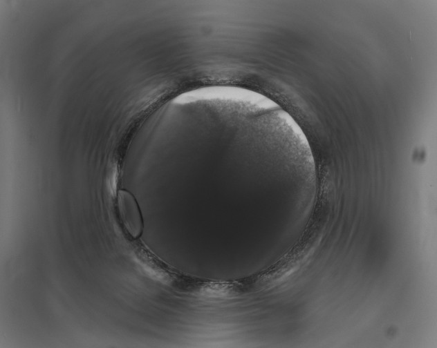 X0000097630076200803281110