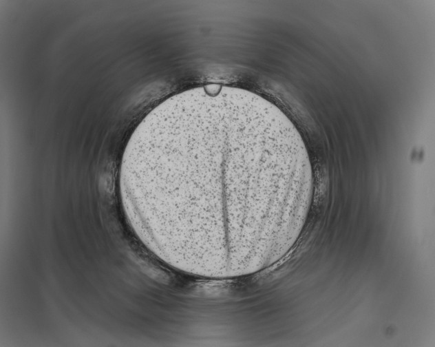 X0000097630078200803281110