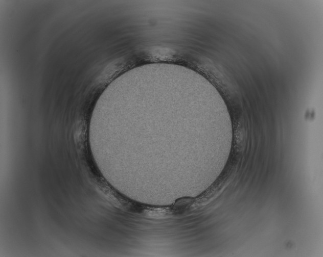 X0000097630079200803281110