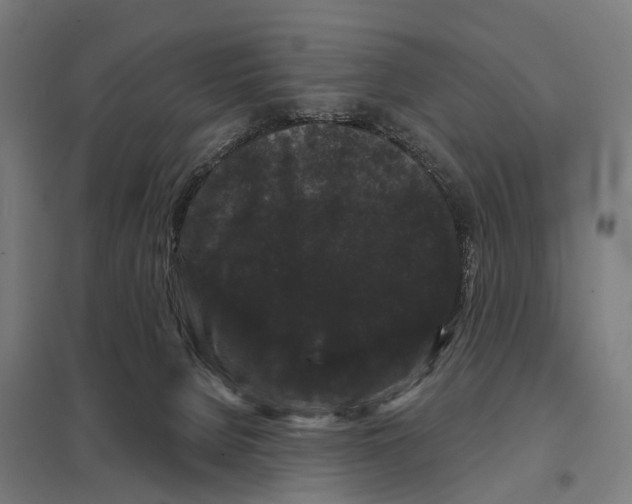 X0000097630080200803281110
