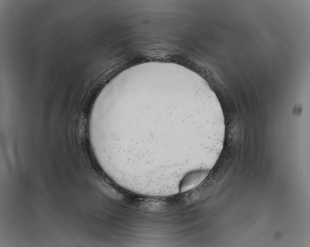 X0000097630081200803281110