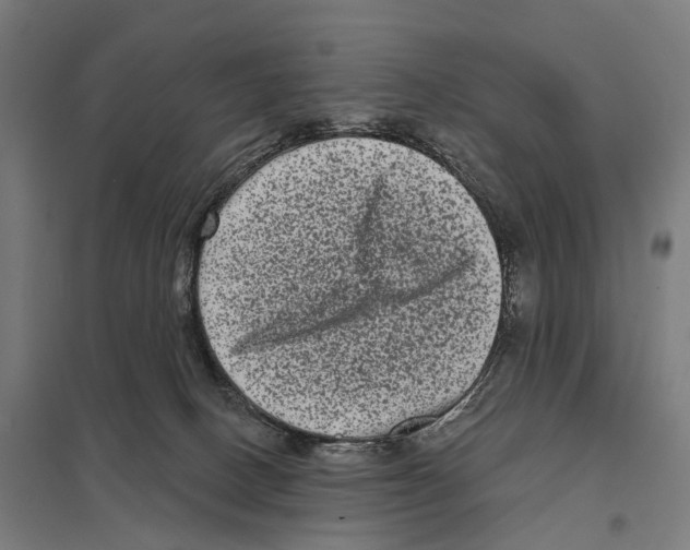 X0000097630082200803281110
