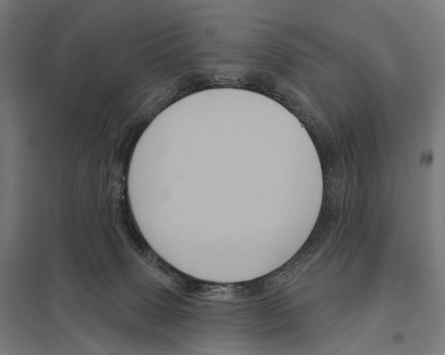 X0000097630083200803281110