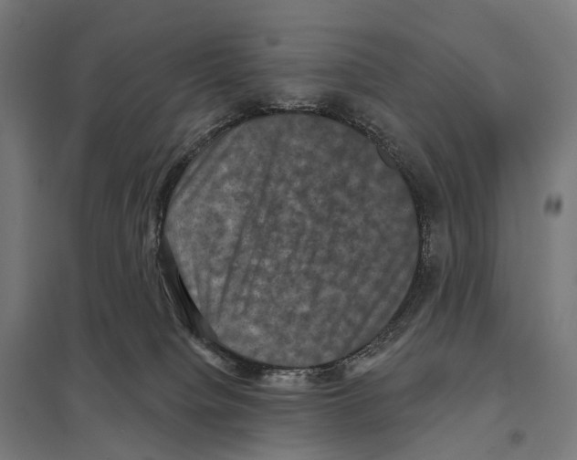 X0000097630084200803281110