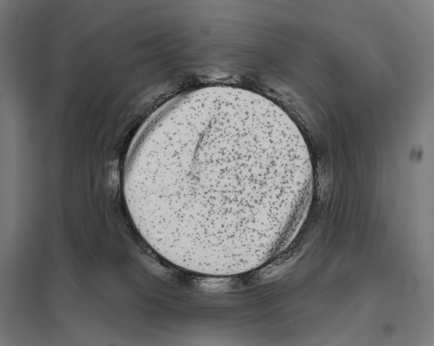 X0000097630085200803281110