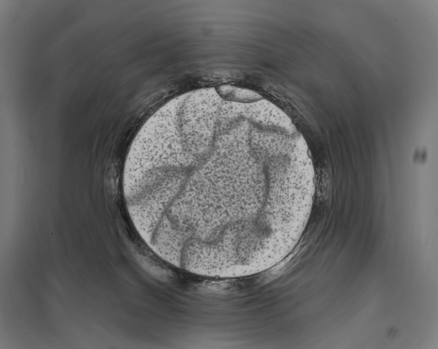 X0000097630086200803281110