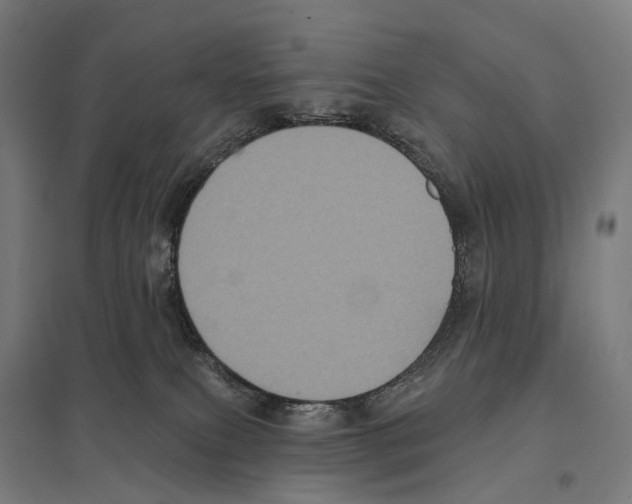 X0000097630087200803281110