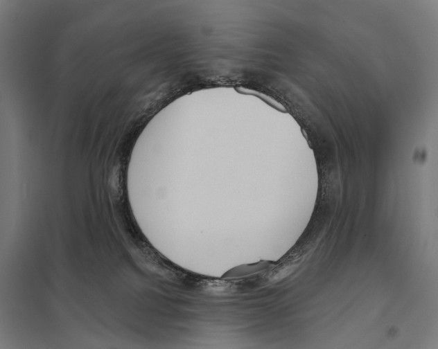 X0000097630088200803281110