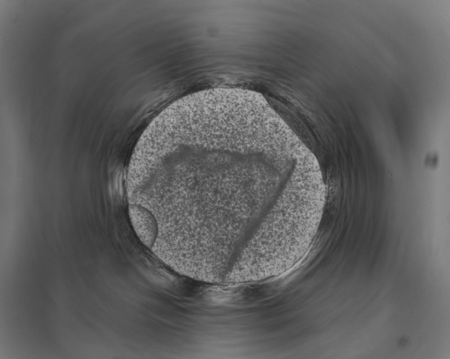 X0000097630094200803281110