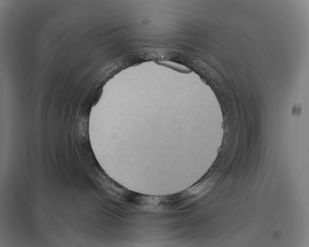 X0000097630096200803281110