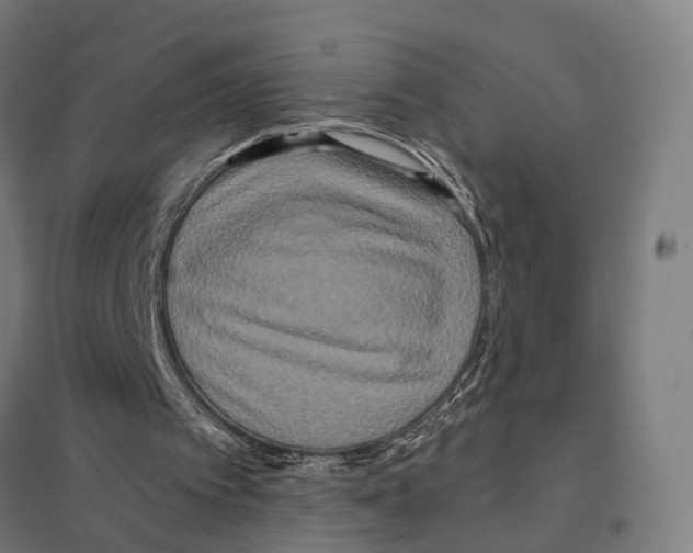 X0000097630097200803281110