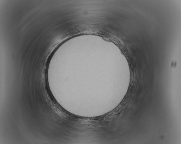 X0000097630098200803281110