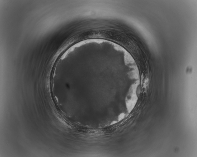 X0000097630099200803281110