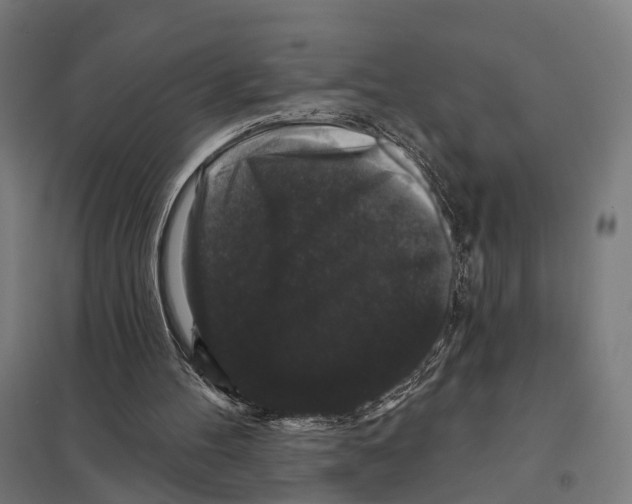 X0000097630100200803281110